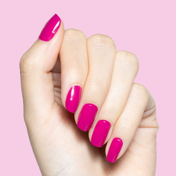 Leotard、mySite、solidvoid