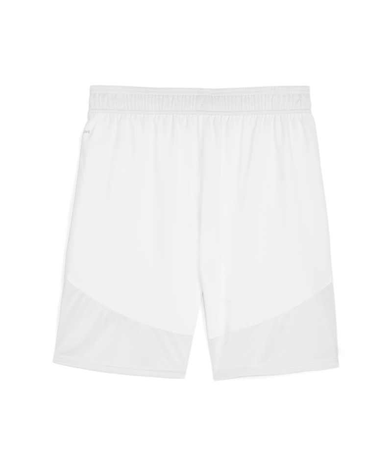 Puma Team Final Shorts - White、mySite、noshort