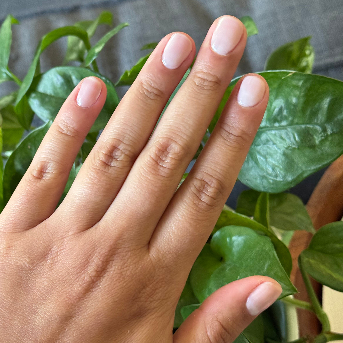 CCT - Gel、mySite、solidvoid