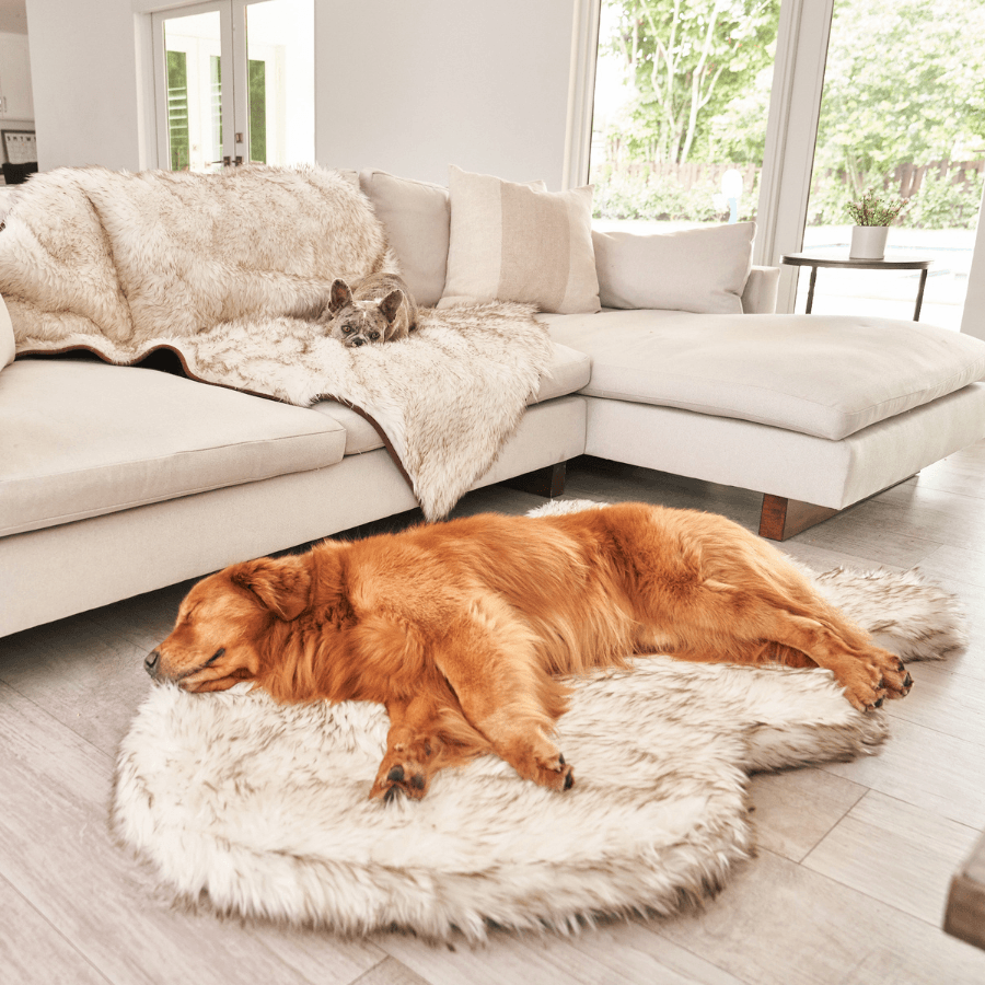 PupRug by Paw.com™ Faux Fur Orthopedic Dog Bed - Curve White with Brown Accents、mySite、solidvoid