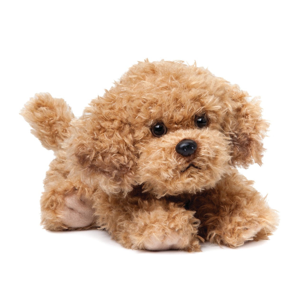 Plush Mixed Breeds: Maltipoo, Terrier Mix, & Labradoodles、mySite、g9winljtr