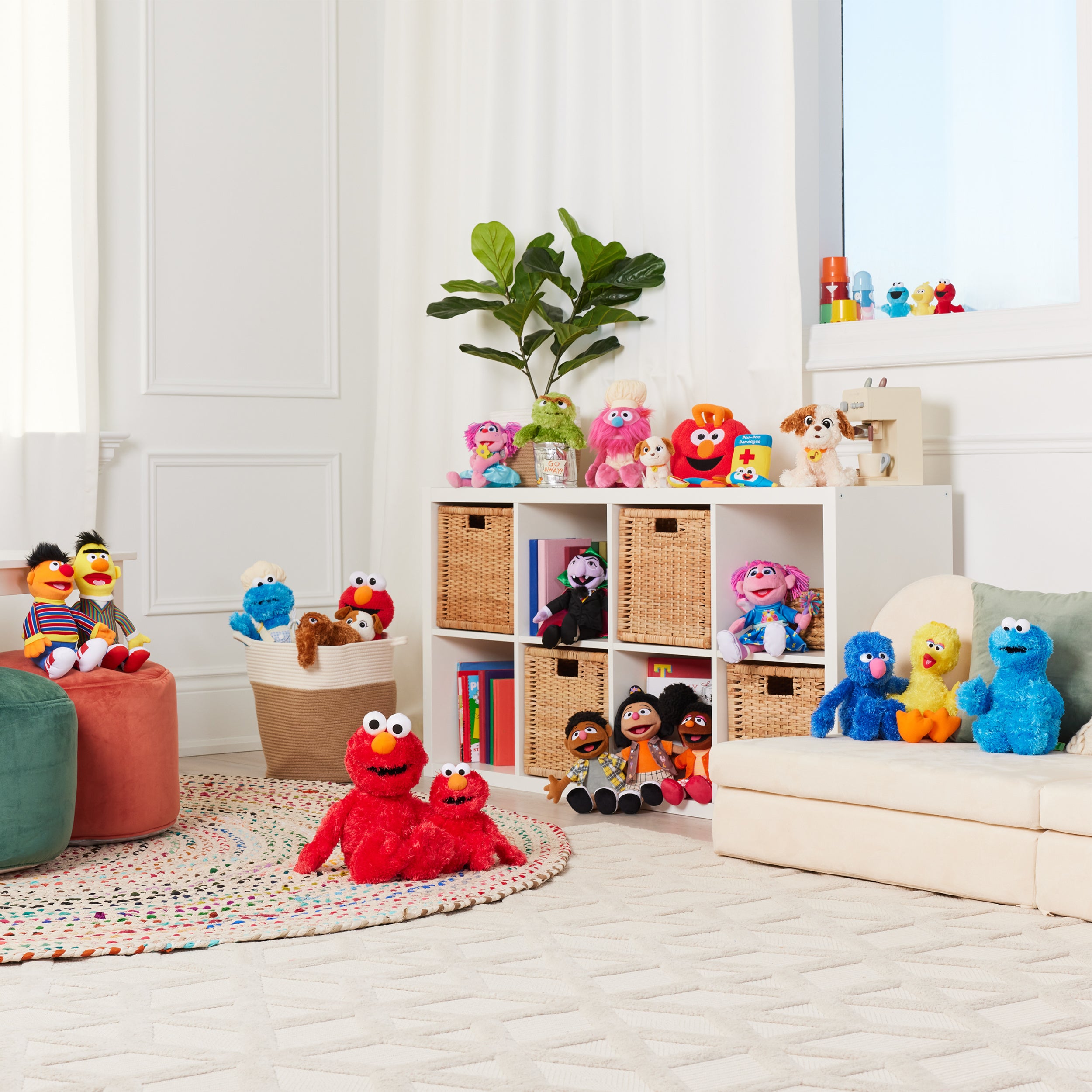 Sesame Street: Cookie Monster, 12 in、mySite、pszhyizbm