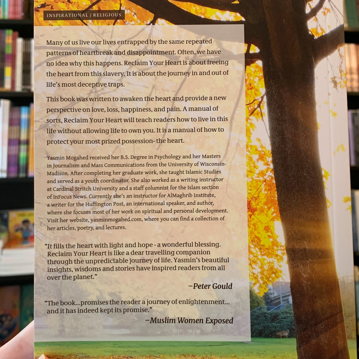 Reclaim Your Heart、mySite、topwebapps