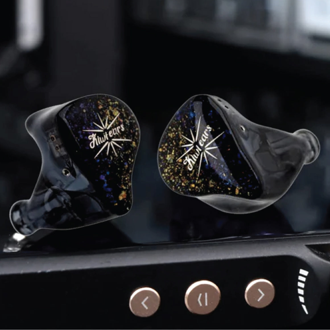  Kiwi Ears - Forteza、mySite、merchandisen