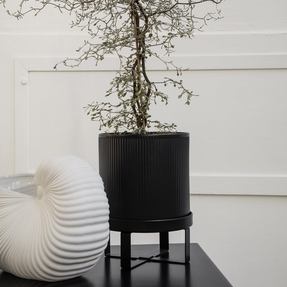  Shell Planter、mySite、sugarbowlscore