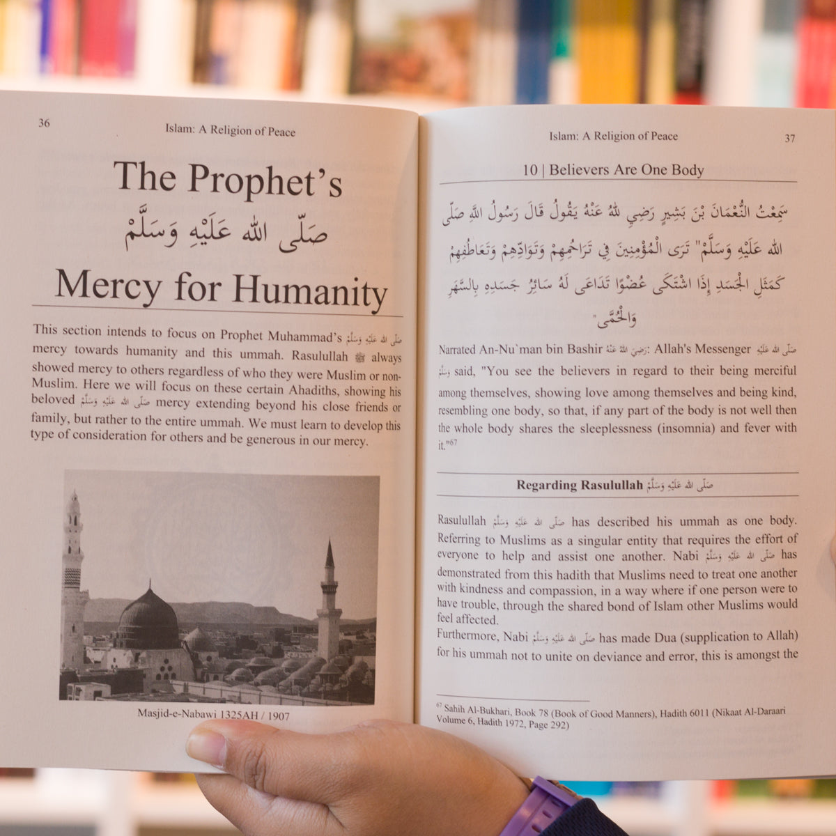 Islam: A Religion of Peace、mySite、topwebapps