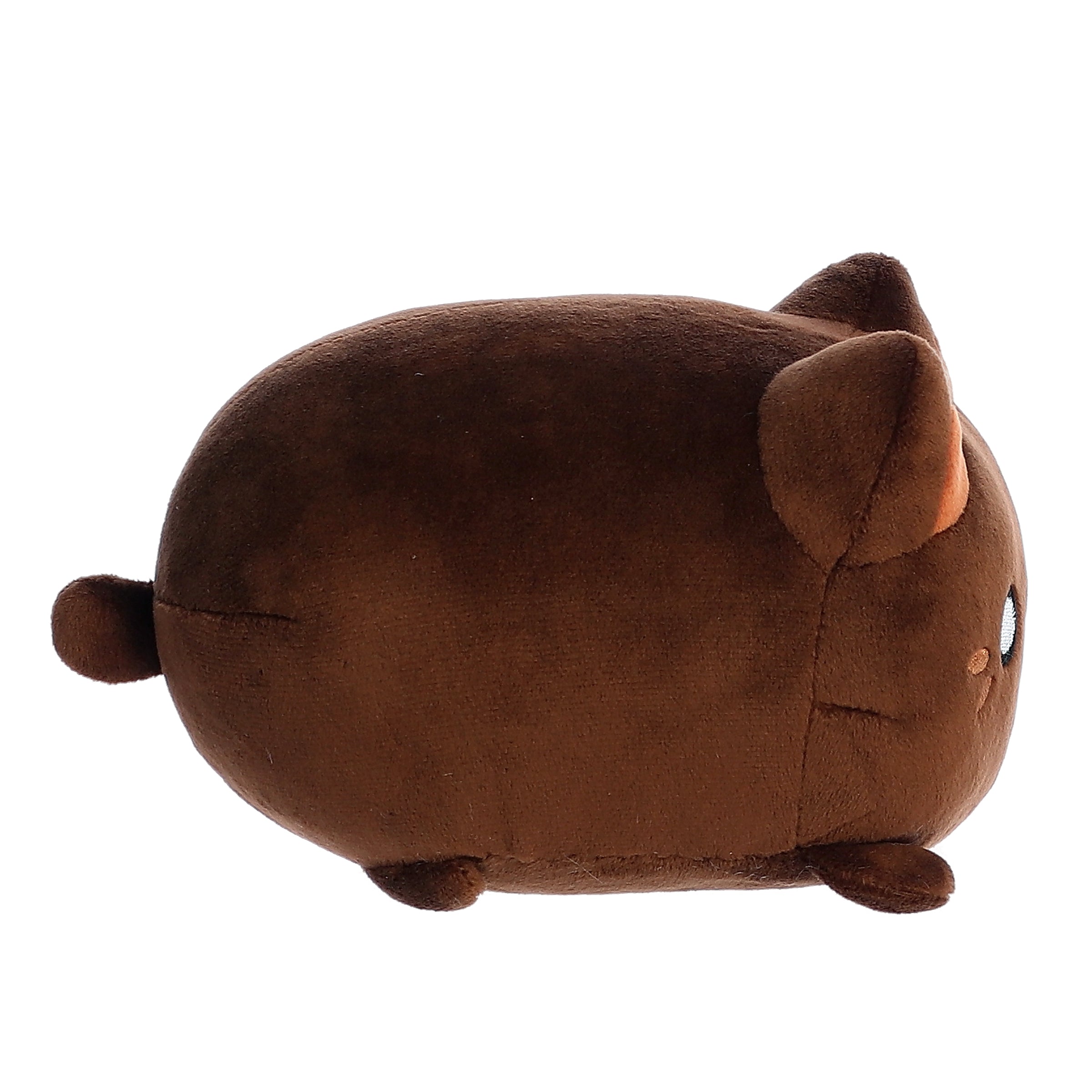 Aurora® - Tasty Peach® - 7 Kona Coffee Meowchi、mySite、g9winljtr