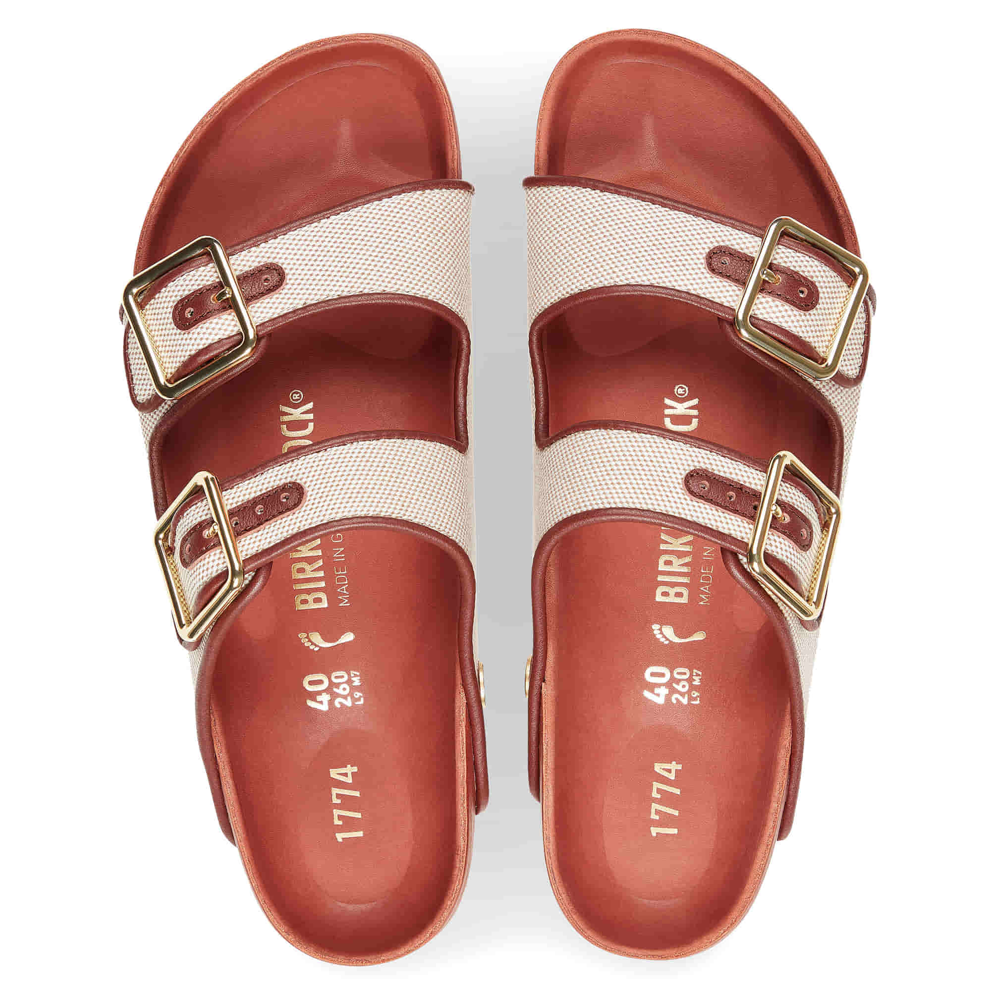 1774 Arizona Canvas、mySite、gtrtttuynbv