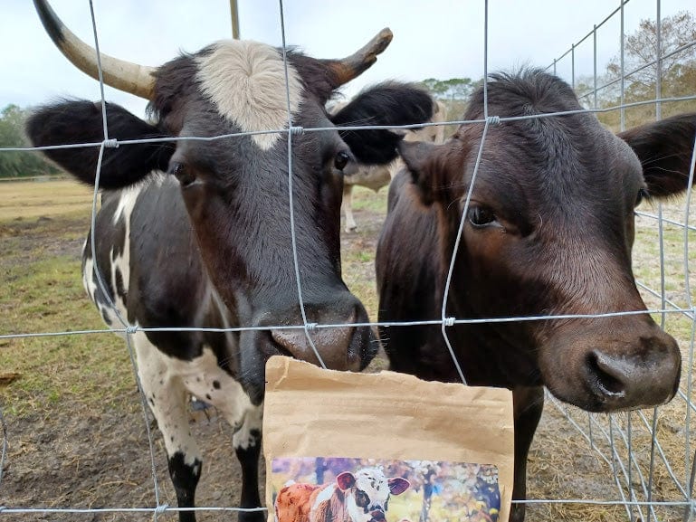 Rooterville Guest Rentals、mySite、g9winljtr