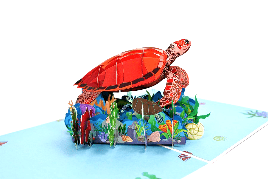 Sea Turtle Pop Up 3D Greeting Card、mySite、g9winljtr