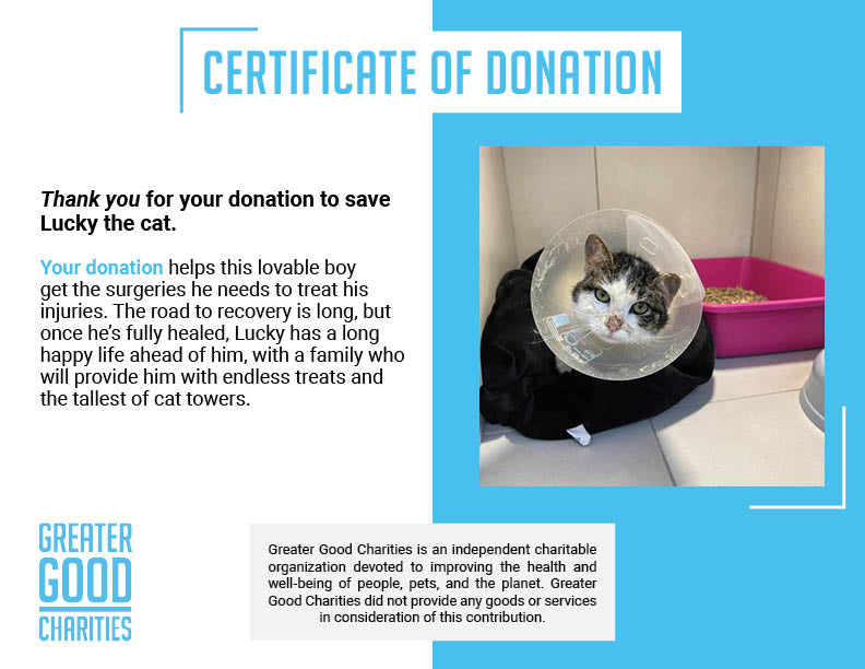 Funded: Help Lucky Get Back on His Feet、mySite、camillekostekn