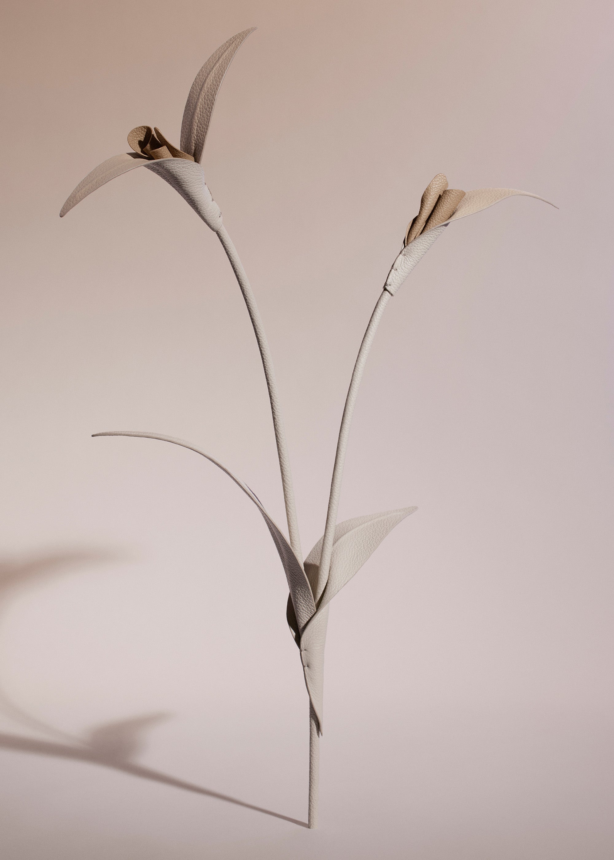 Fleur Touka - Trio Craie Grain茅、mySite、camillekostekn