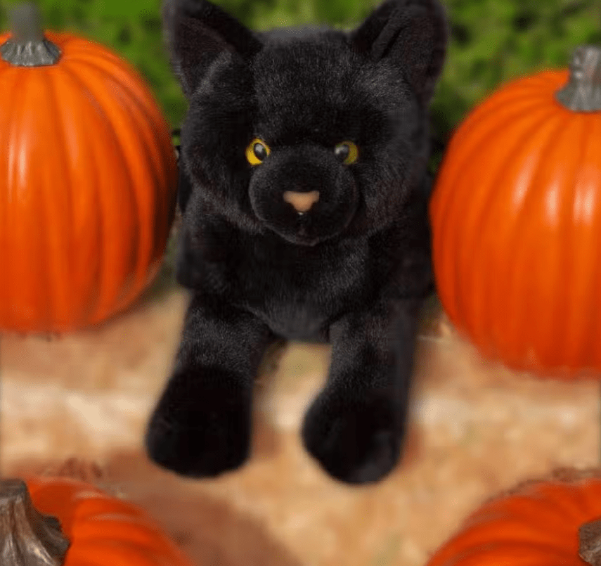 Floppy Realistic Black Cat-Lifesize! Meet Binx...、mySite、g9winljtr
