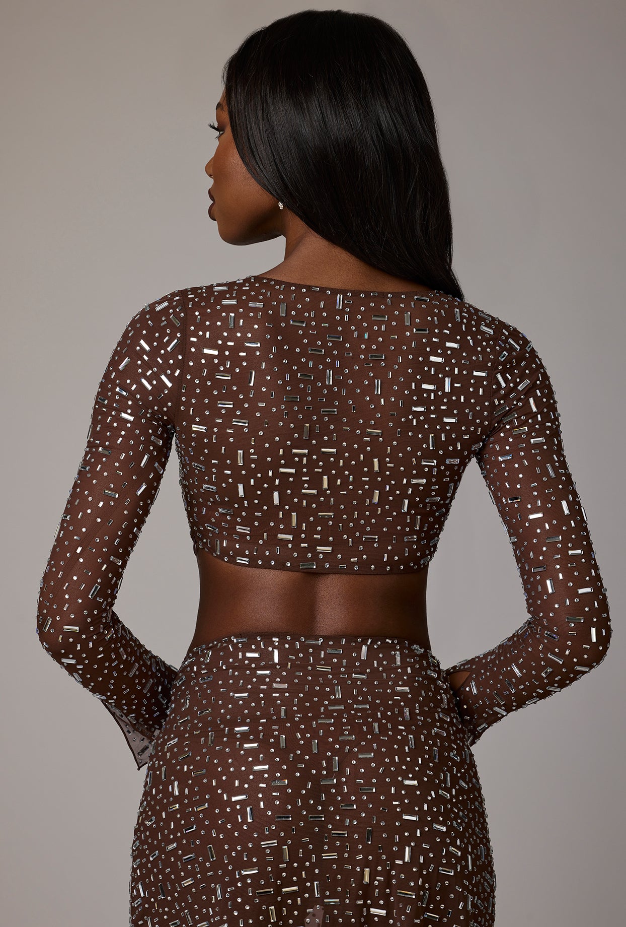 Sheer Embellished Long Sleeve Crop Top in Deep Cocoa、mySite、solidvoid