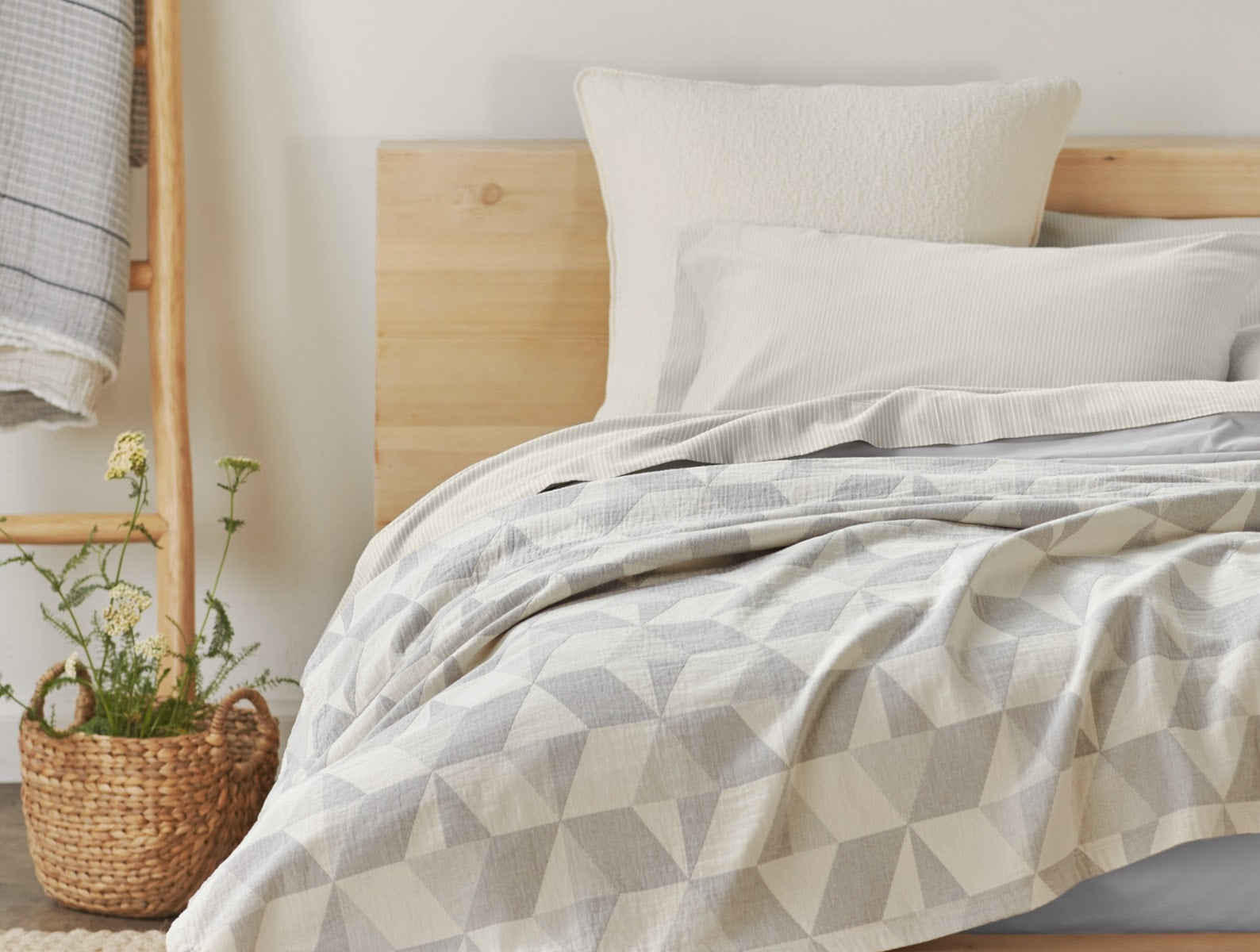  Pismo Organic Sham - Renewed、mySite、sugarbowlscore