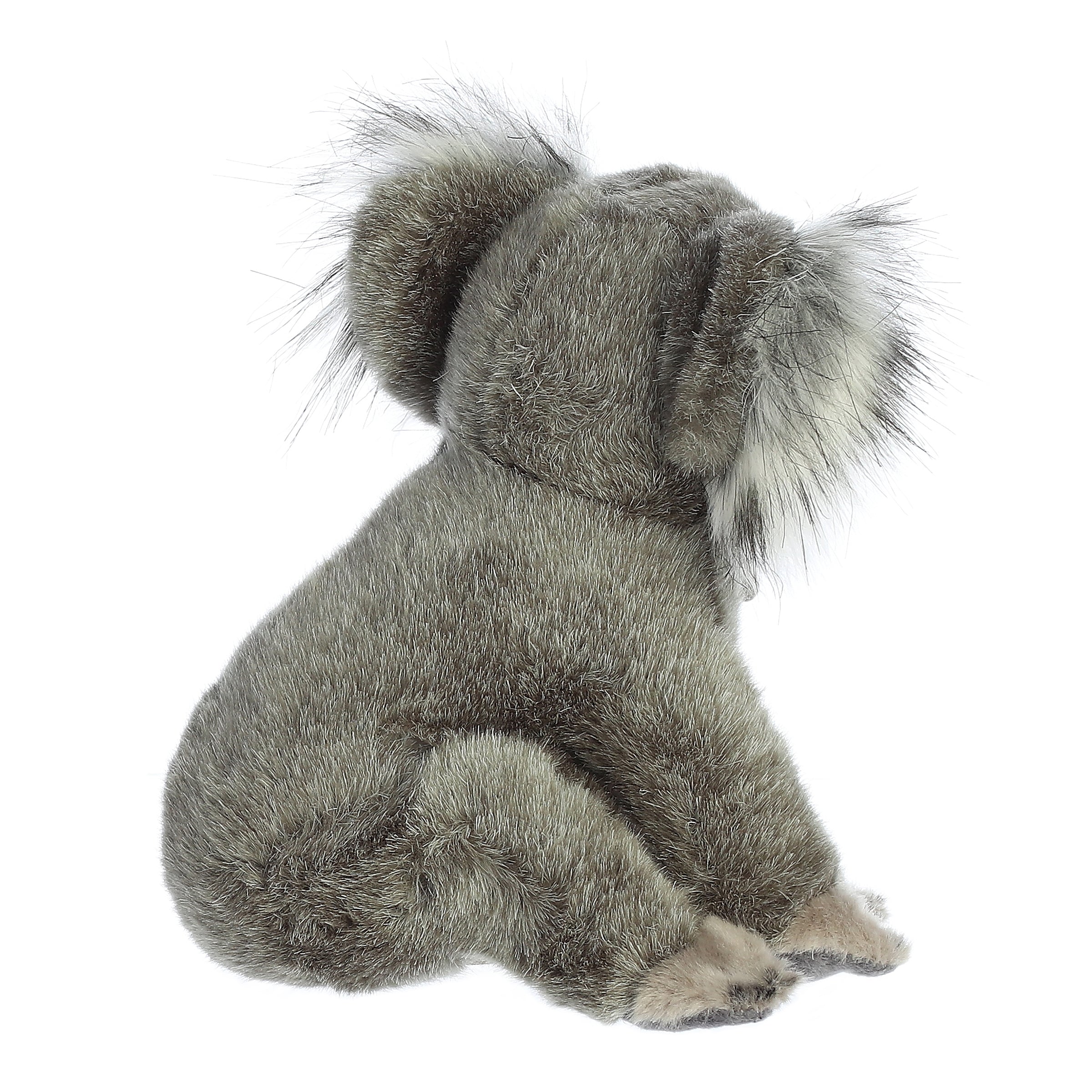 Aurora® - Miyoni® - 9 Koala、mySite、g9winljtr