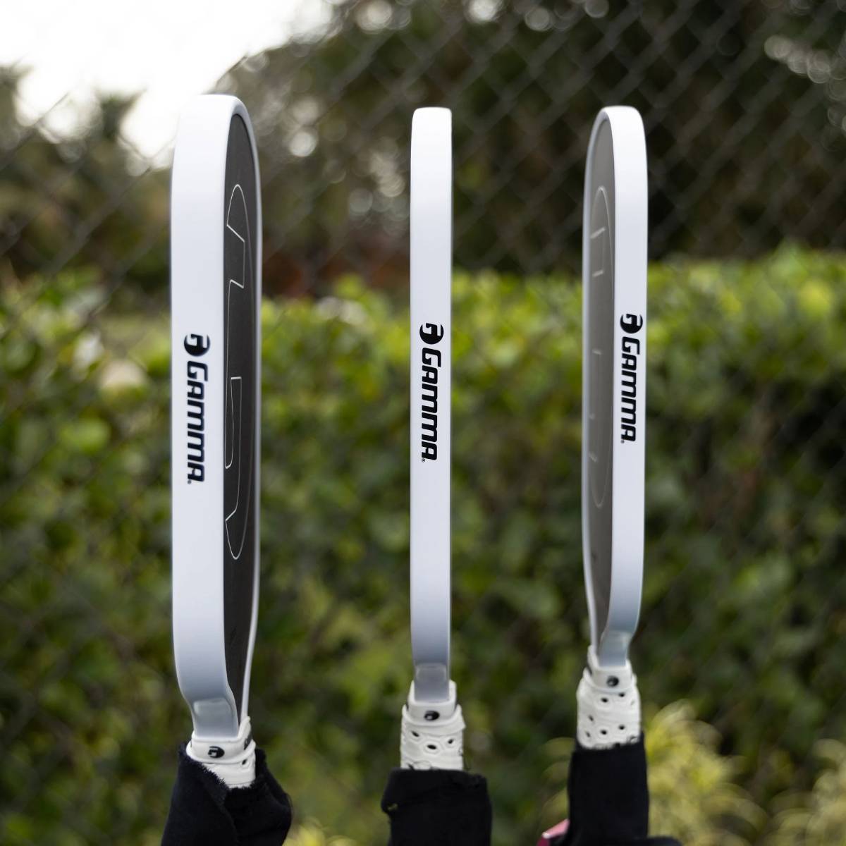 Gamma Obsidian - Demo Rental