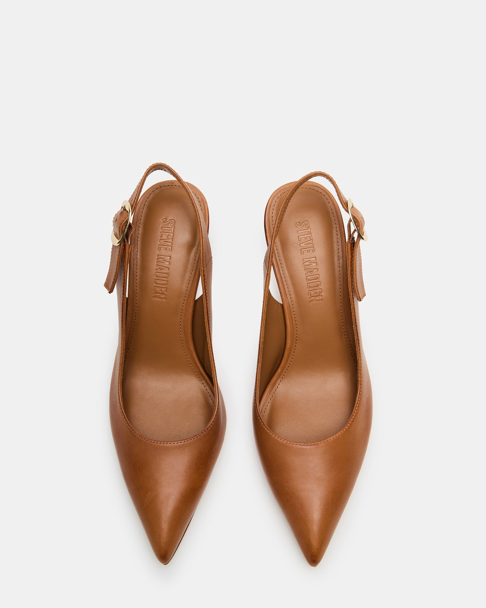 ELODINE TAN LEATHER、mySite、gtrtttuynbv