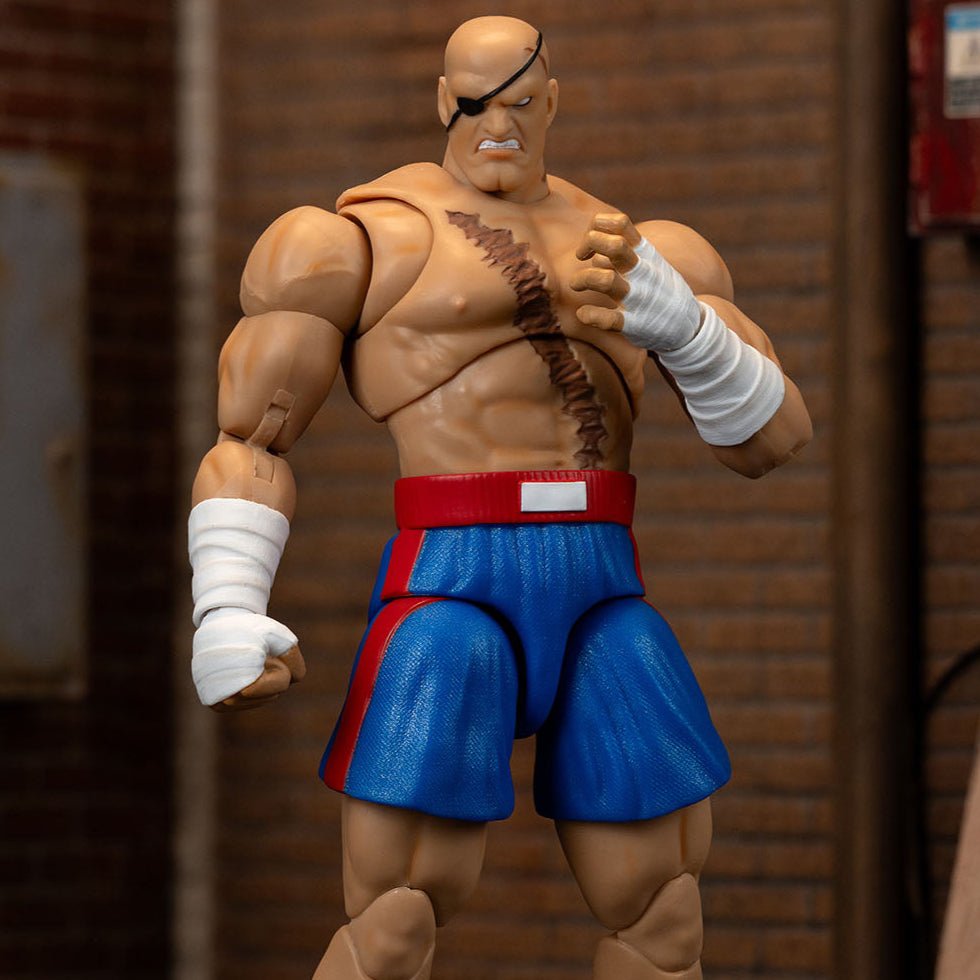 Street Fighter Sagat、mySite、hgirdovlk