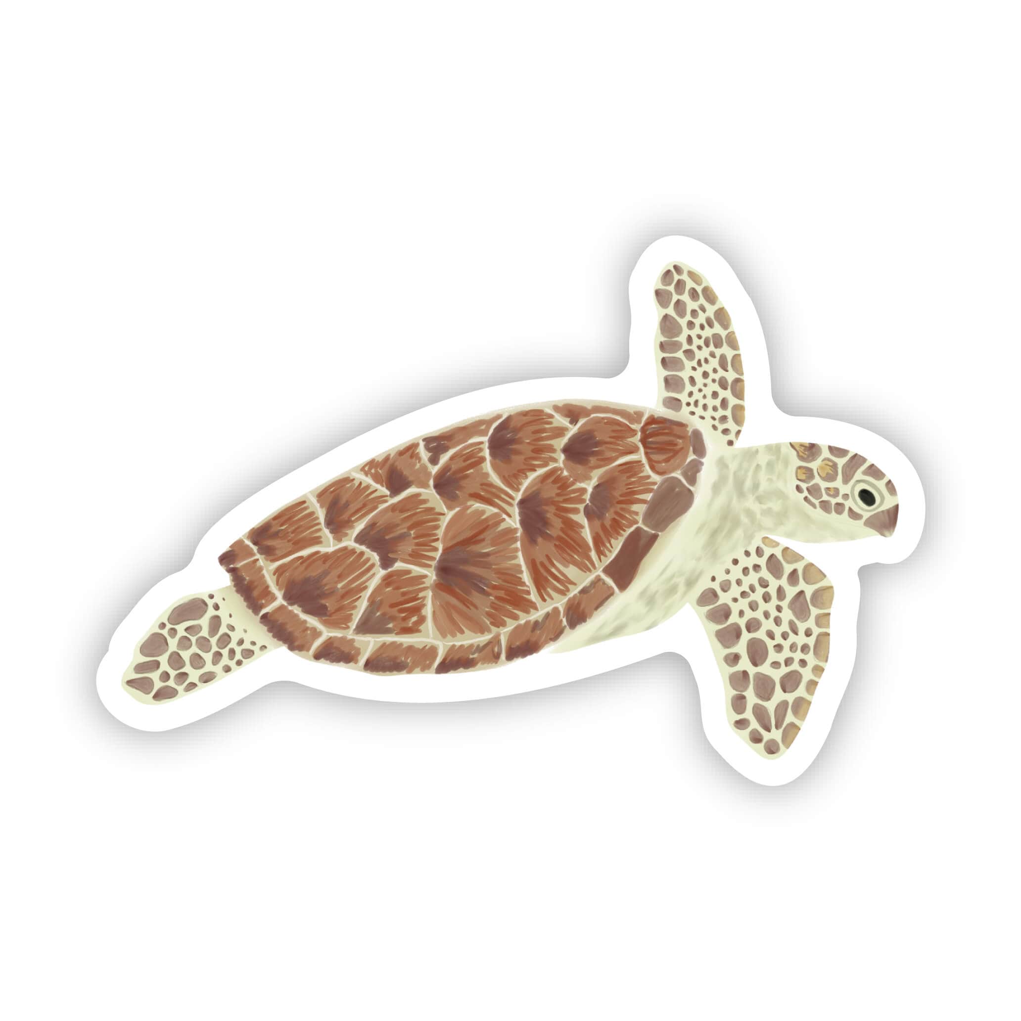  Green Sea Turtle Sticker、mySite、ghnorth