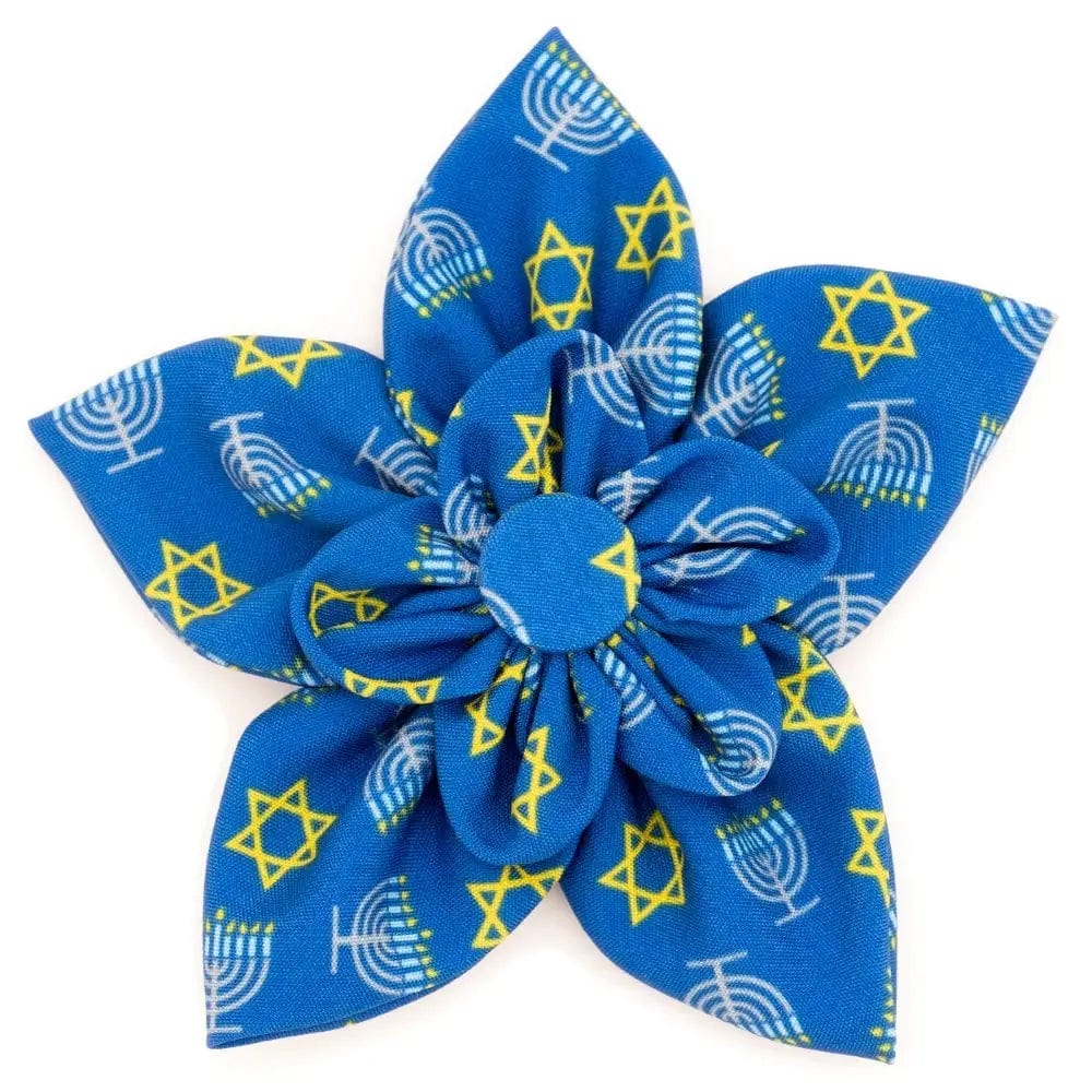 Hanukkah Pet Flower Collar Attachment、mySite、topwebapps