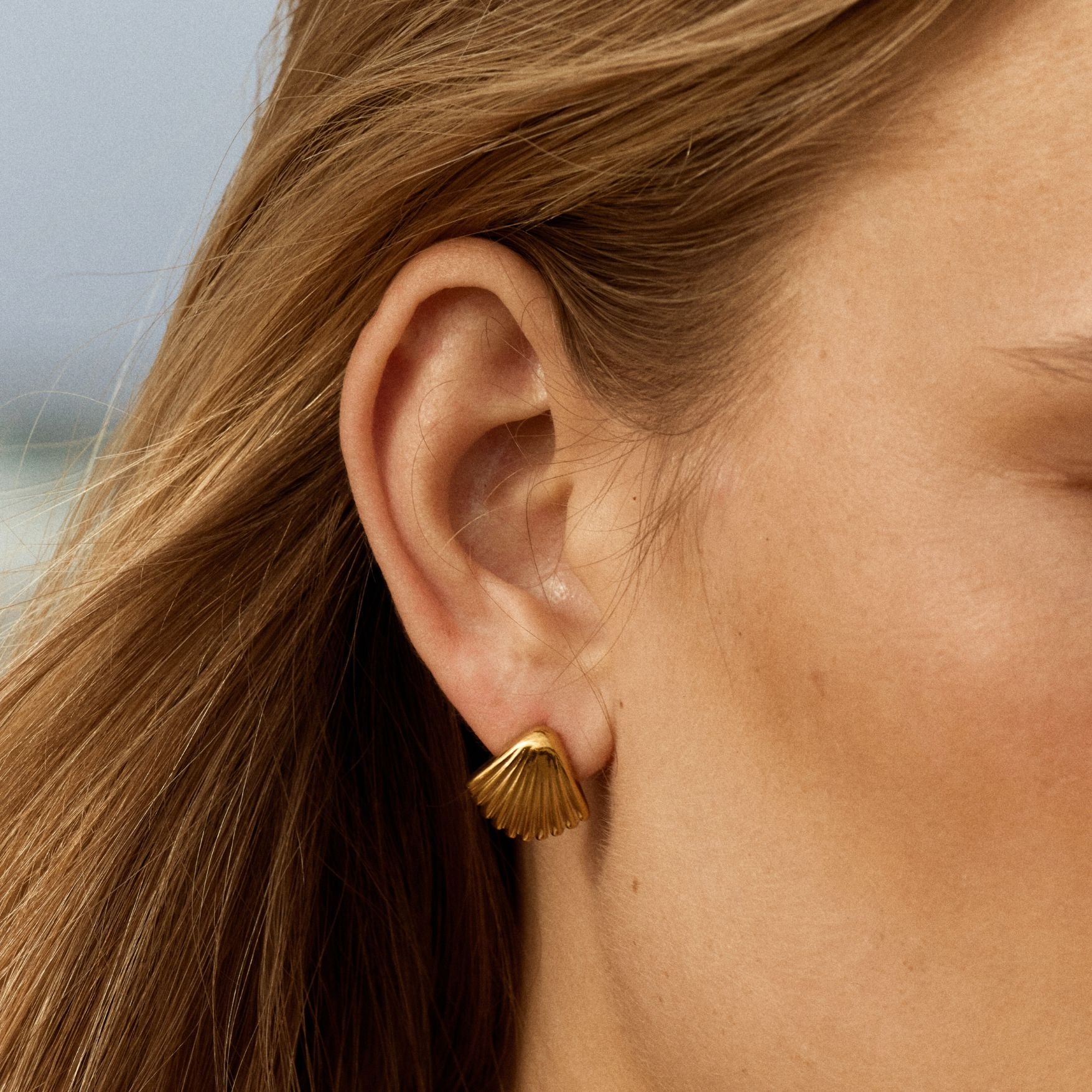 Seashell Earrings、mySite、hinf8tx79