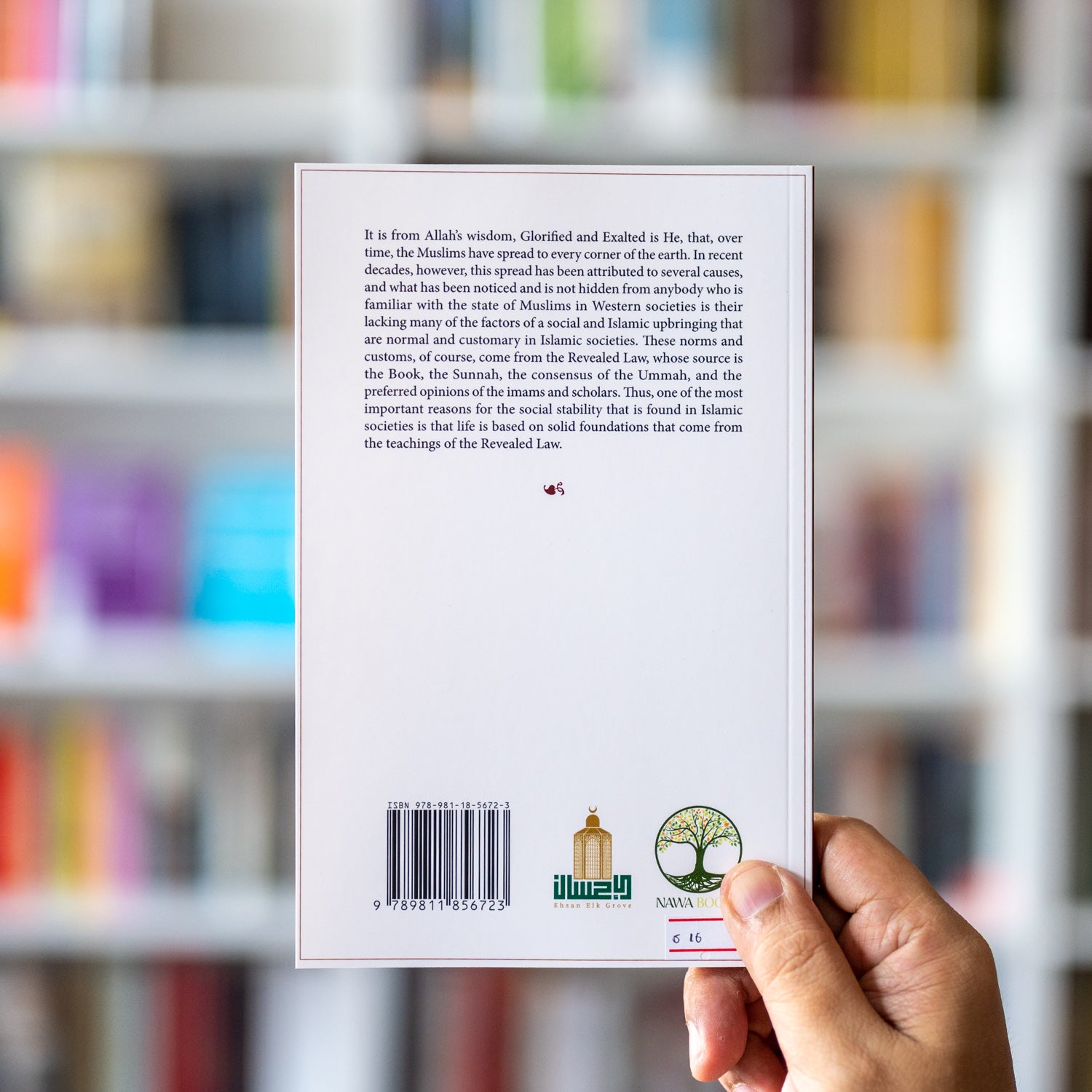 The Rights of the Husband and Wife、mySite、topwebapps