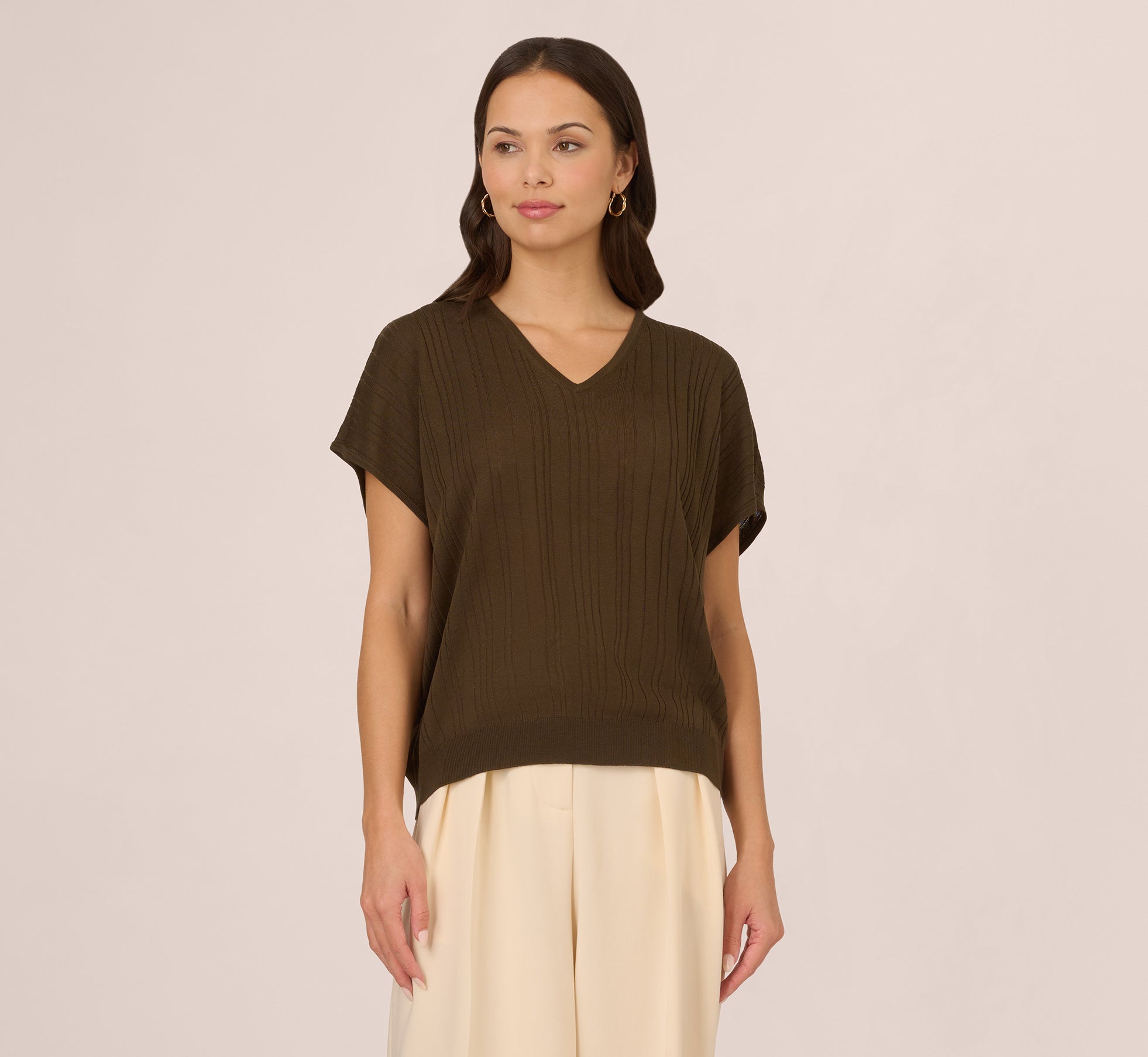 Short Sleeve Lightweight Rib Knit Sweater Top In Chocolate Walnut、mySite、solidvoid