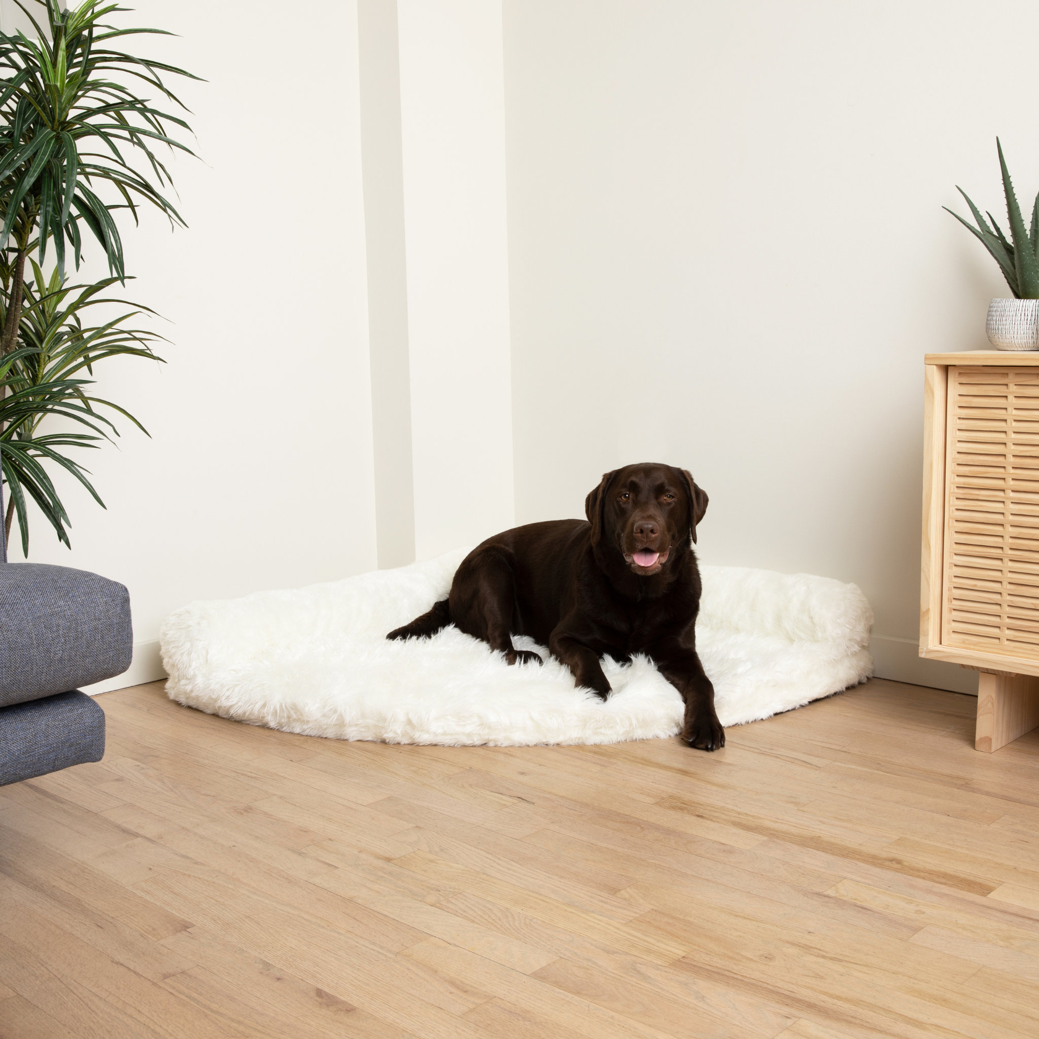 PupRug™ Memory Foam Corner Dog Bed - Polar White、mySite、solidvoid