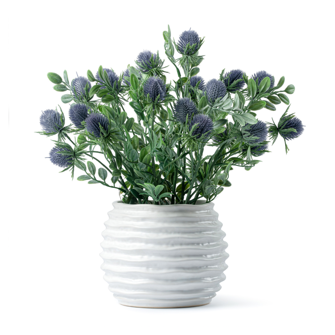  DH Purple Thistle Ridged Pot、mySite、elrpsem3k