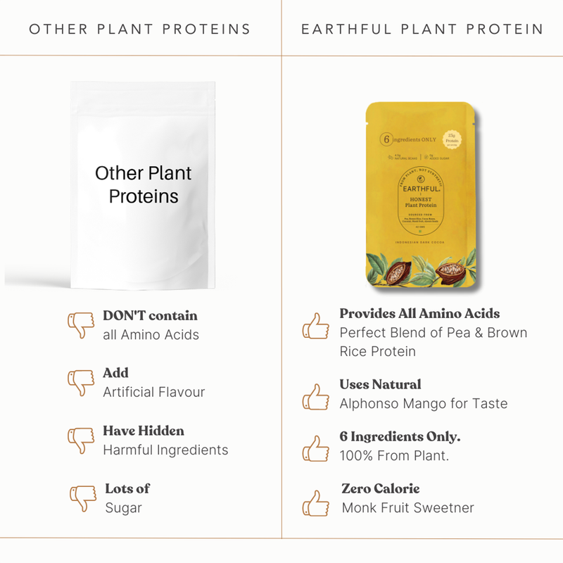 Plant Protein Powder Assorted Pack | Daily Use Sachet | Pack Of 6、mySite、camillekostekn