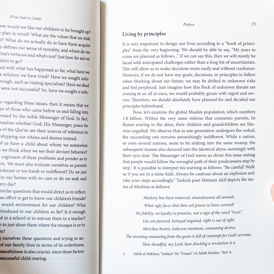 From Seed to Cedar: Nurturing the Spiritual Needs in Children、mySite、topwebapps