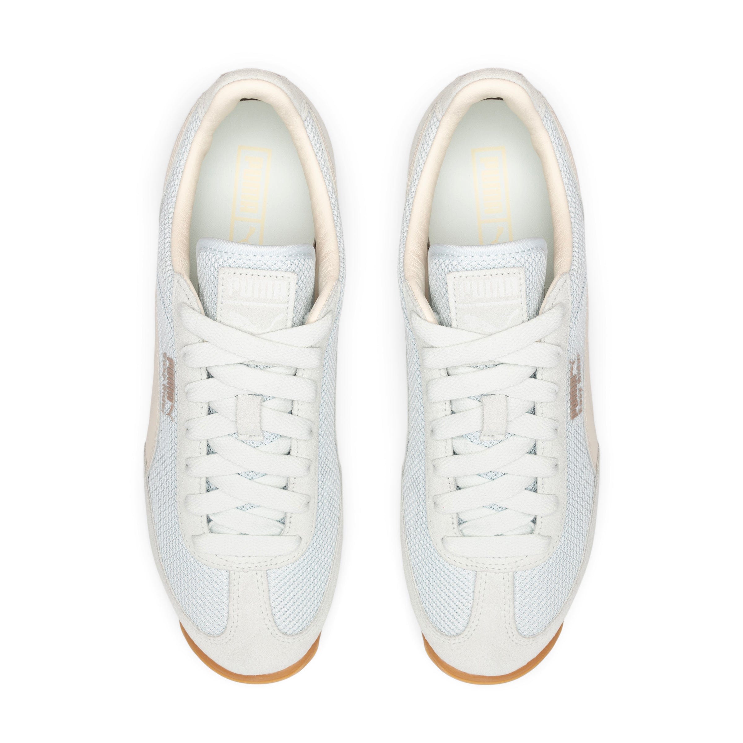 EASY RIDER PREMIUM、mySite、zt4zffjzw