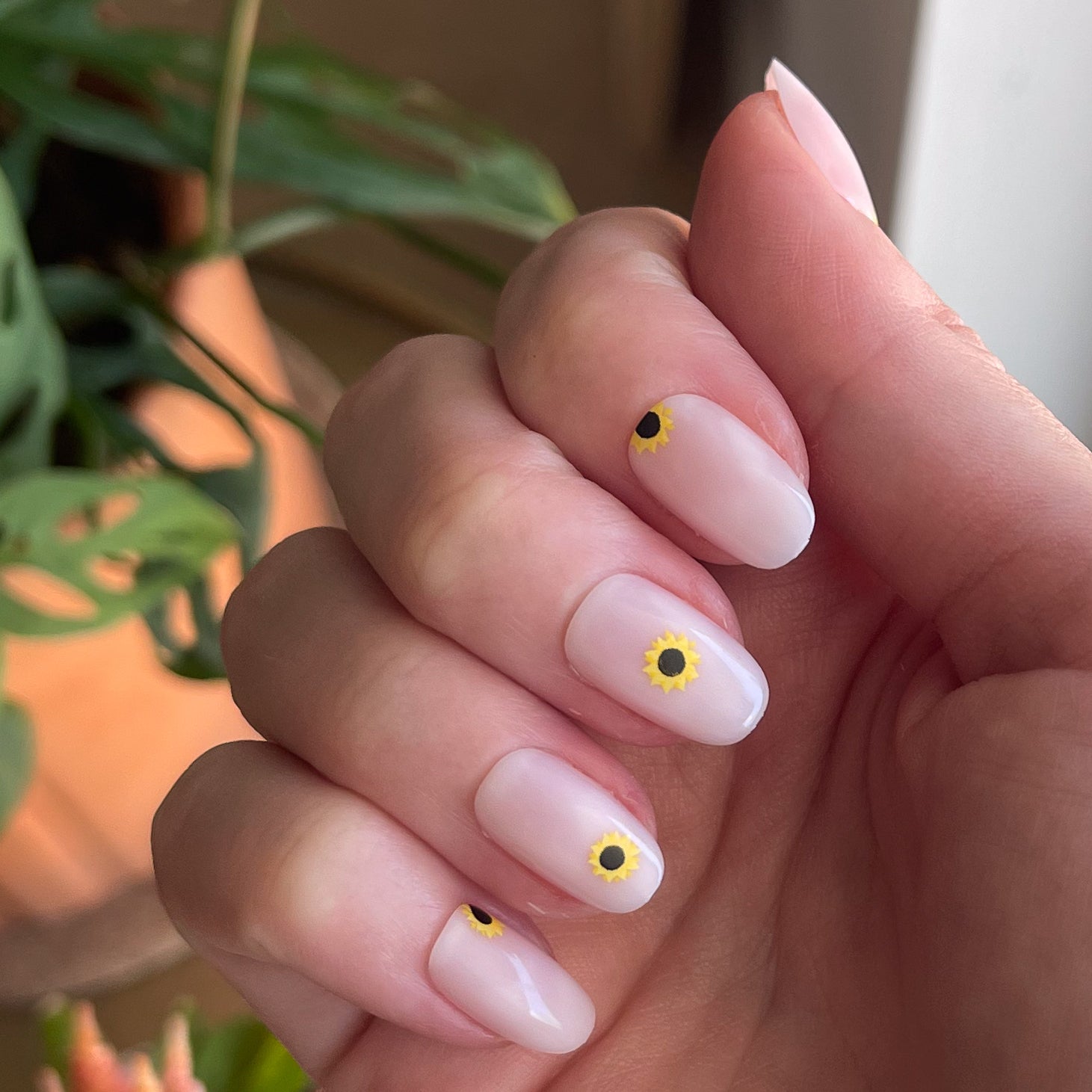 Scattered Sunflower - Press-On | Short | Round、mySite、solidvoid