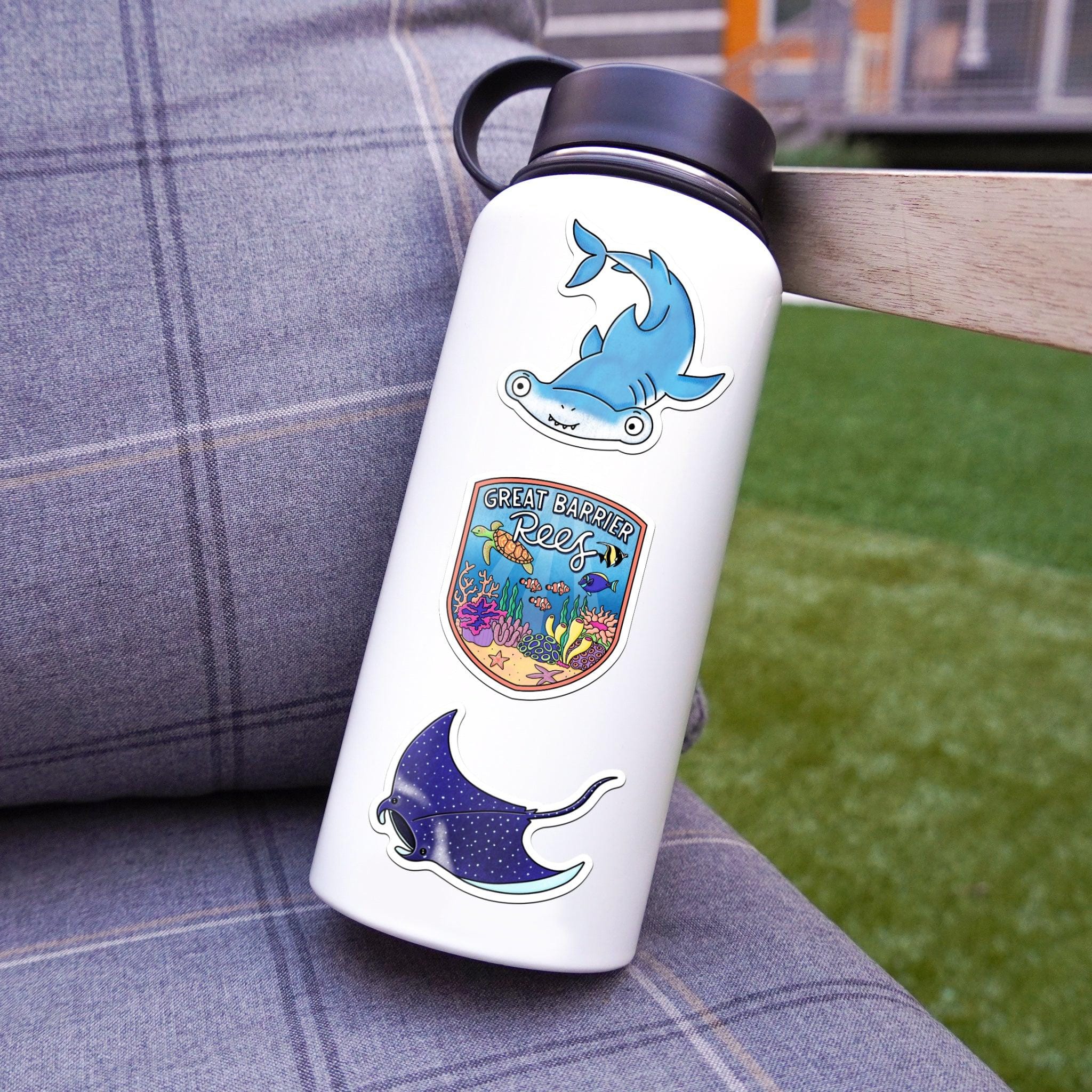  Ocean Life 6 Pack、mySite、ghnorth