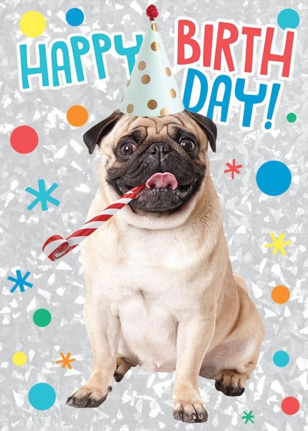  Birthday Note Card - Birthday Pug Foil、mySite、ghnorth