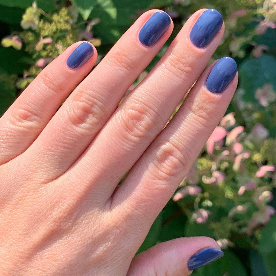 Social Studies、mySite、solidvoid