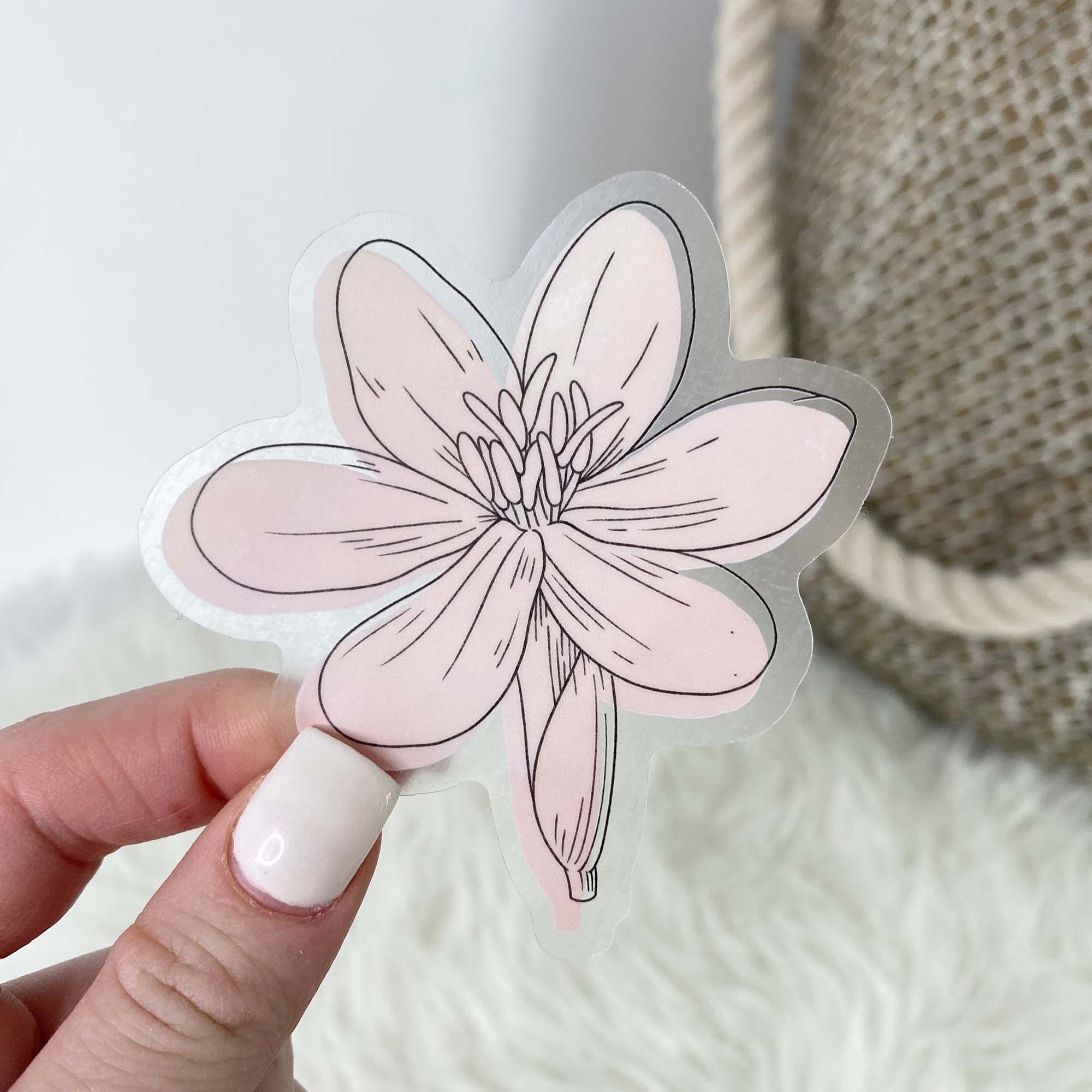  Eleutherine Bulbosa Watercolor - Clear Sticker、mySite、ghnorth