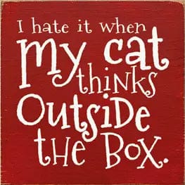 I Hate when my Cat Thinks outside the Box Wood Sign、mySite、g9winljtr