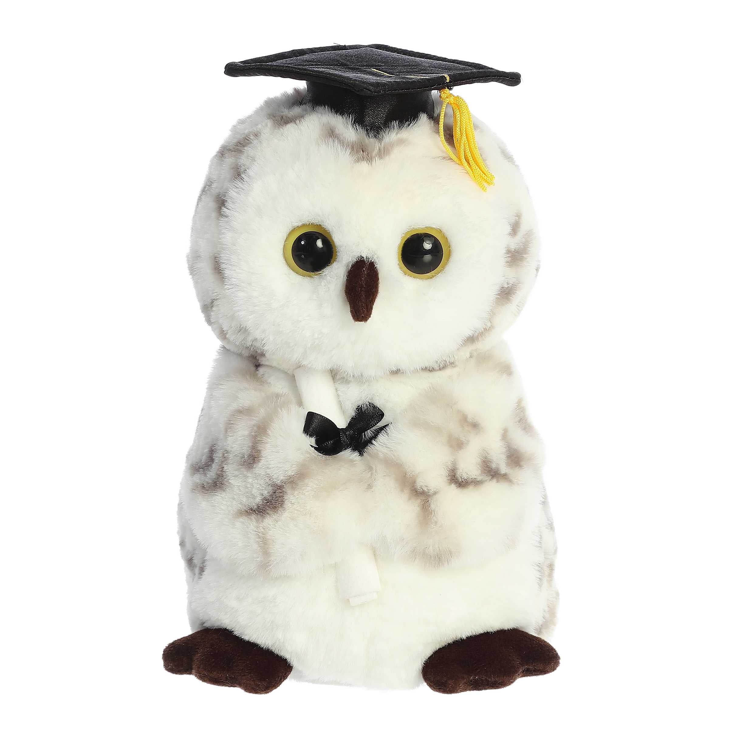Aurora® - Graduation - 9 Smart Owl™、mySite、g9winljtr