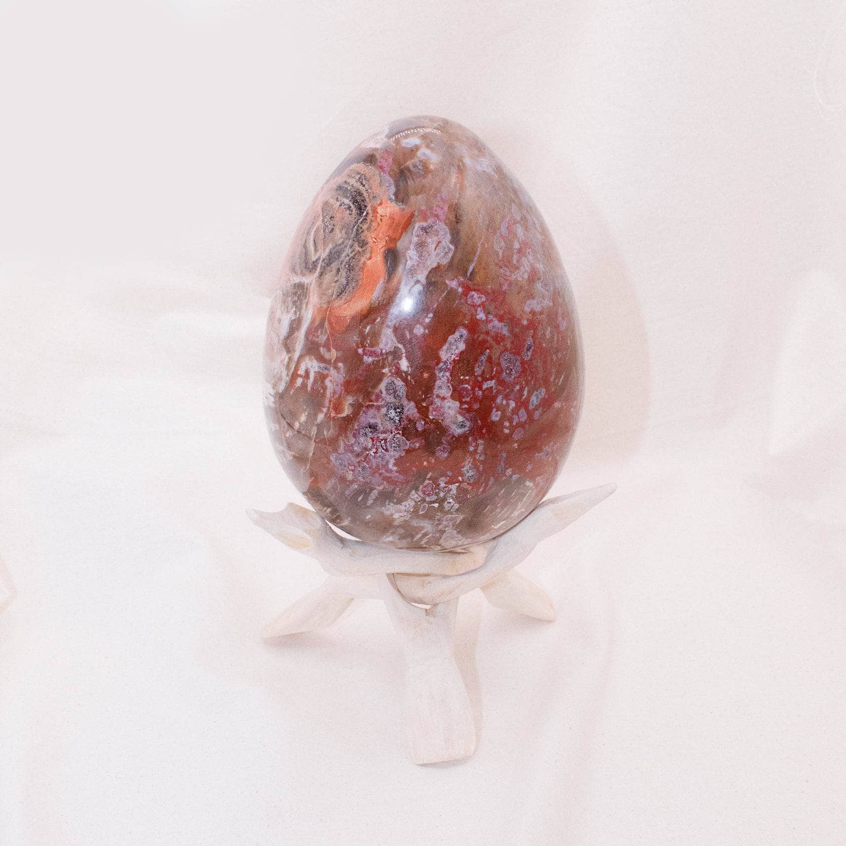 Petrified Wood Egg - AAA Premium Quality、mySite、hinf8tx79