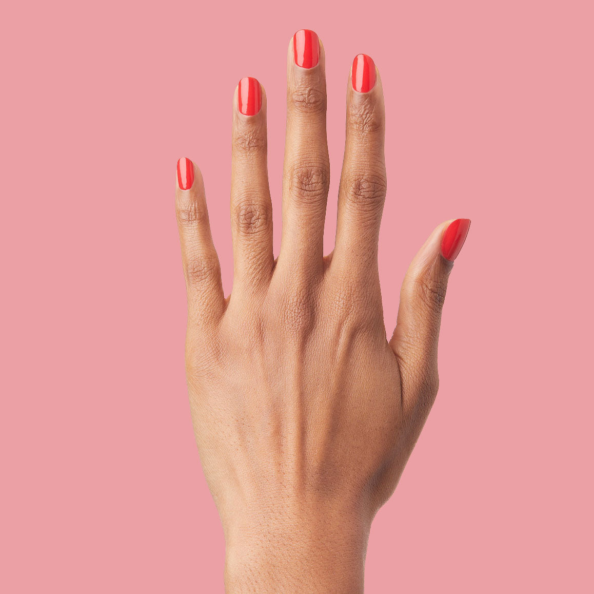 You're Doing Great、mySite、solidvoid