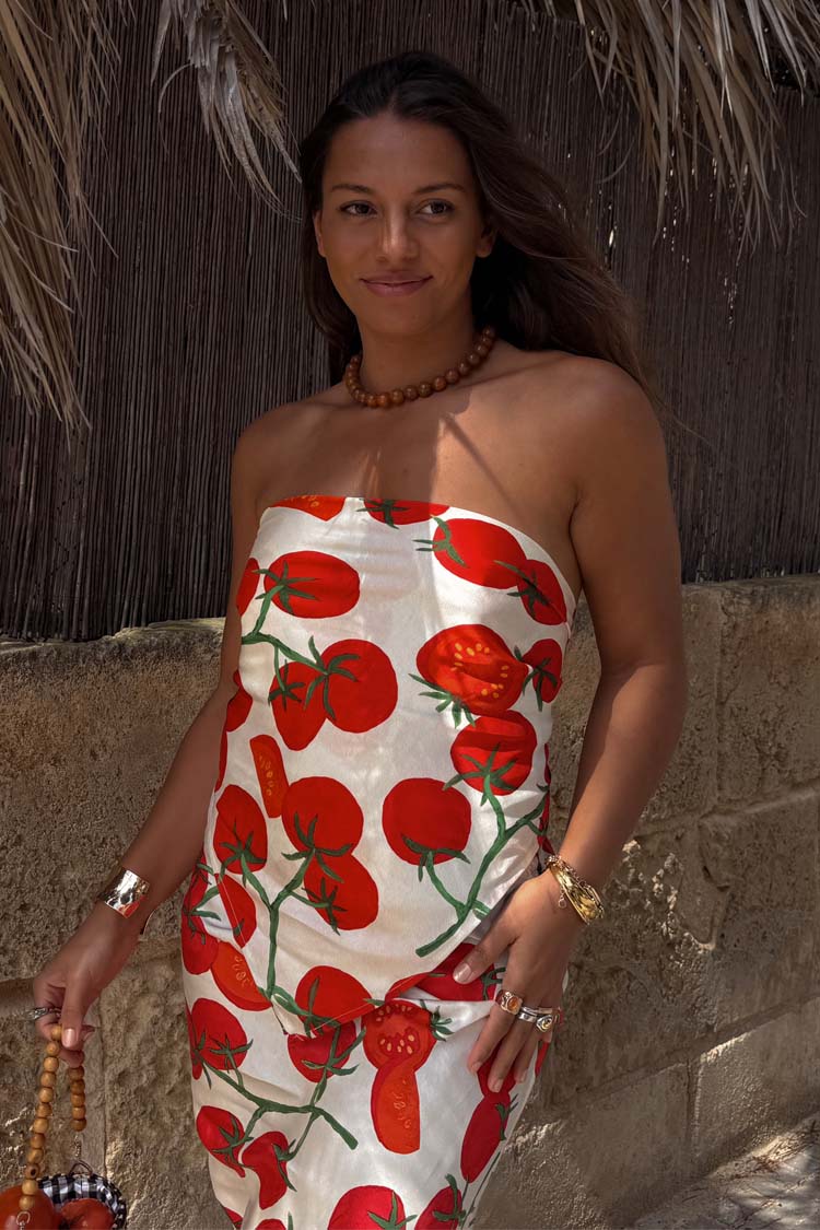 Tomato Scarf、mySite、solidvoid