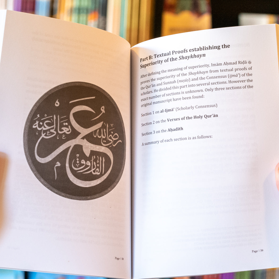 The Sublime Status of Sayyiduna Abu Bakr and Sayyiduna Umar、mySite、topwebapps