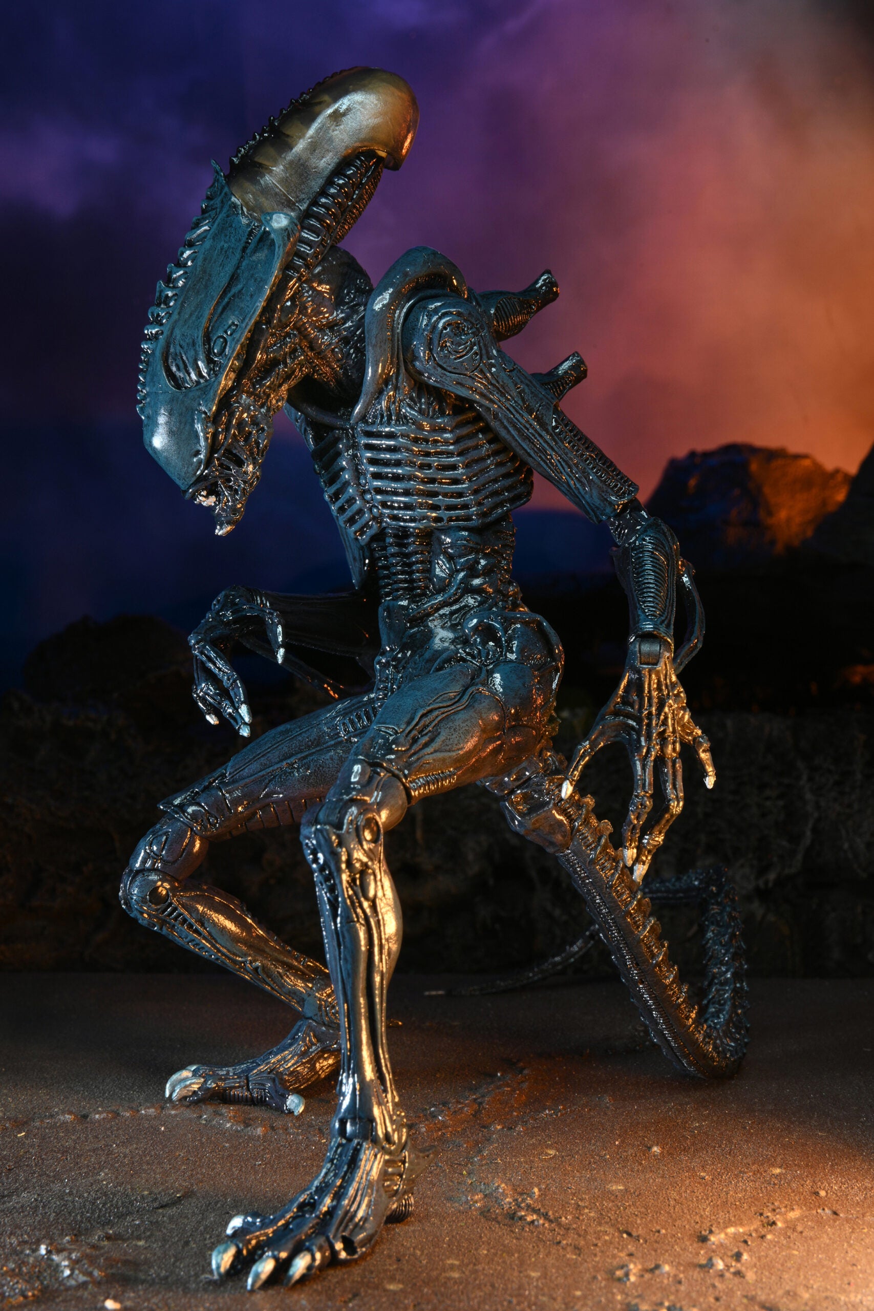 NECA Alien vs. Predator Arachnoid (Movie Deco)、mySite、hgirdovlk