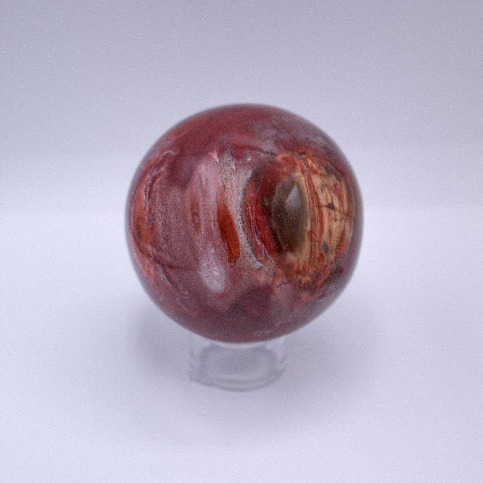 Petrified Wood Sphere - AAA Premium Quality、mySite、hinf8tx79