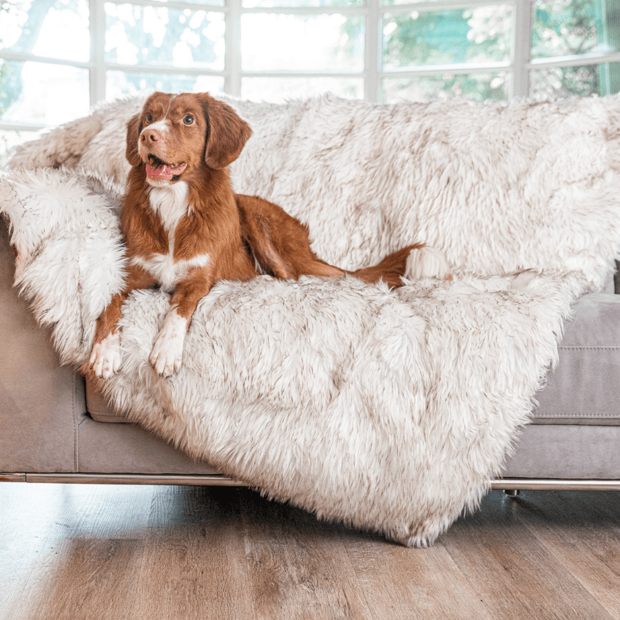 Paw.com x BarkBox PupProtector™ Waterproof Throw Blanket - White with Brown Accents、mySite、solidvoid