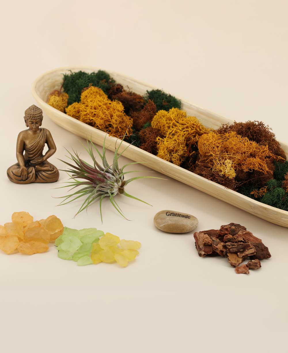 Buddha Gratitude Terrarium – Peaceful Serenity in Nature、mySite、topwebapps