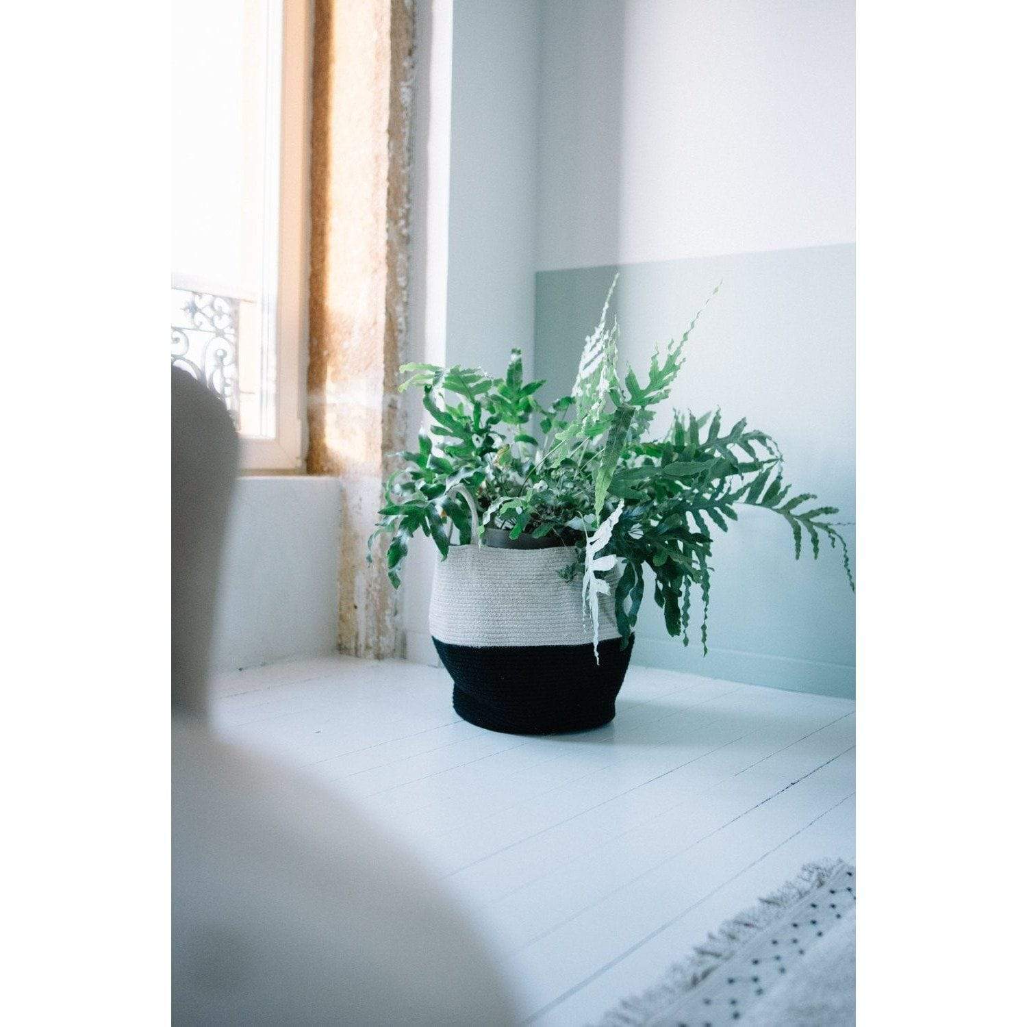 Zoco Black Natural Basket、mySite、gigharbornorthrealestate