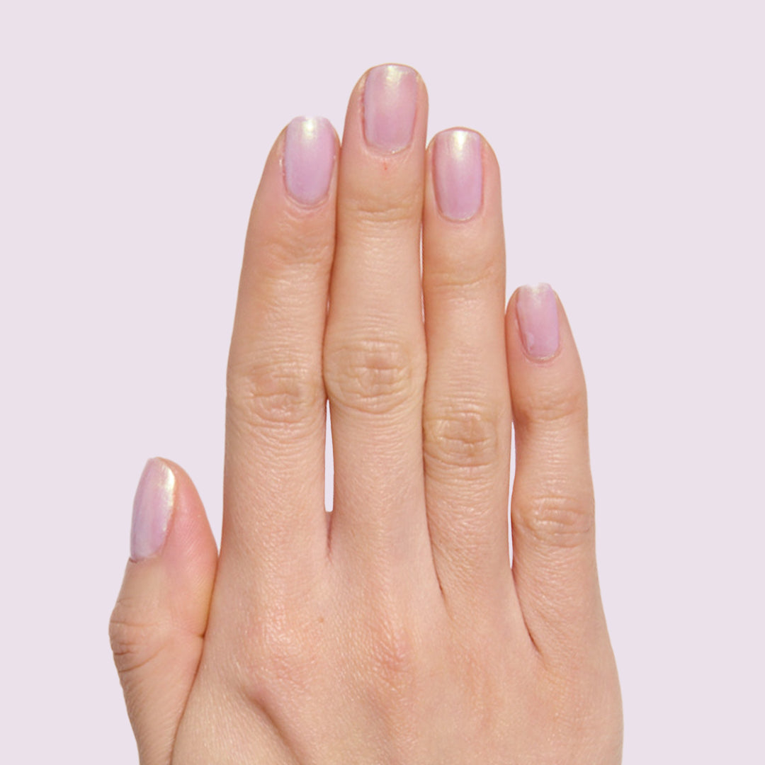 Purple Puka、mySite、solidvoid